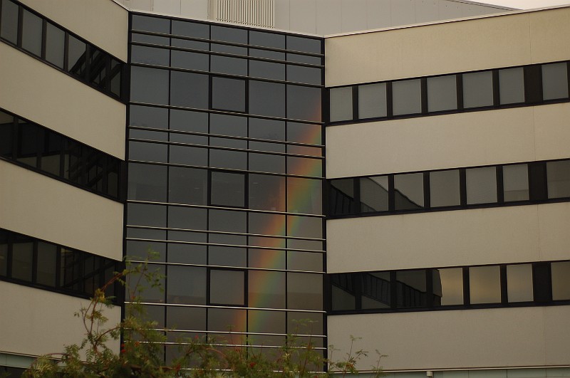 DSC_3230.JPG